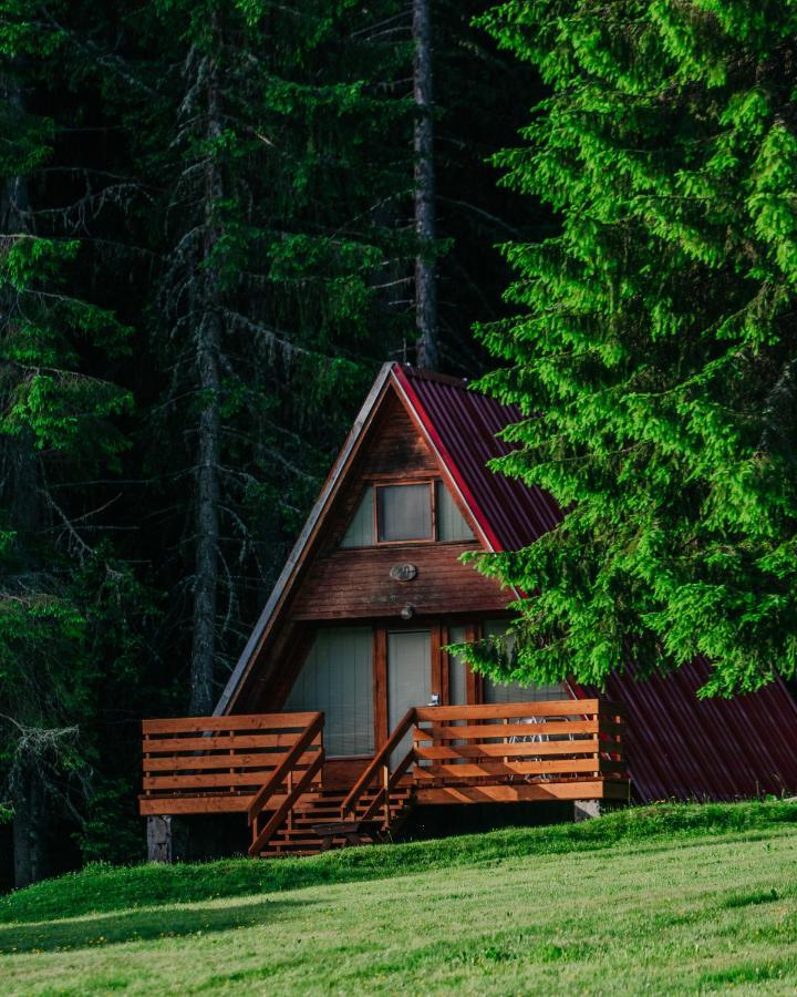 Villa Complex Malina Pamporovo Extérieur photo