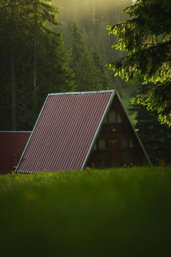 Villa Complex Malina Pamporovo Extérieur photo