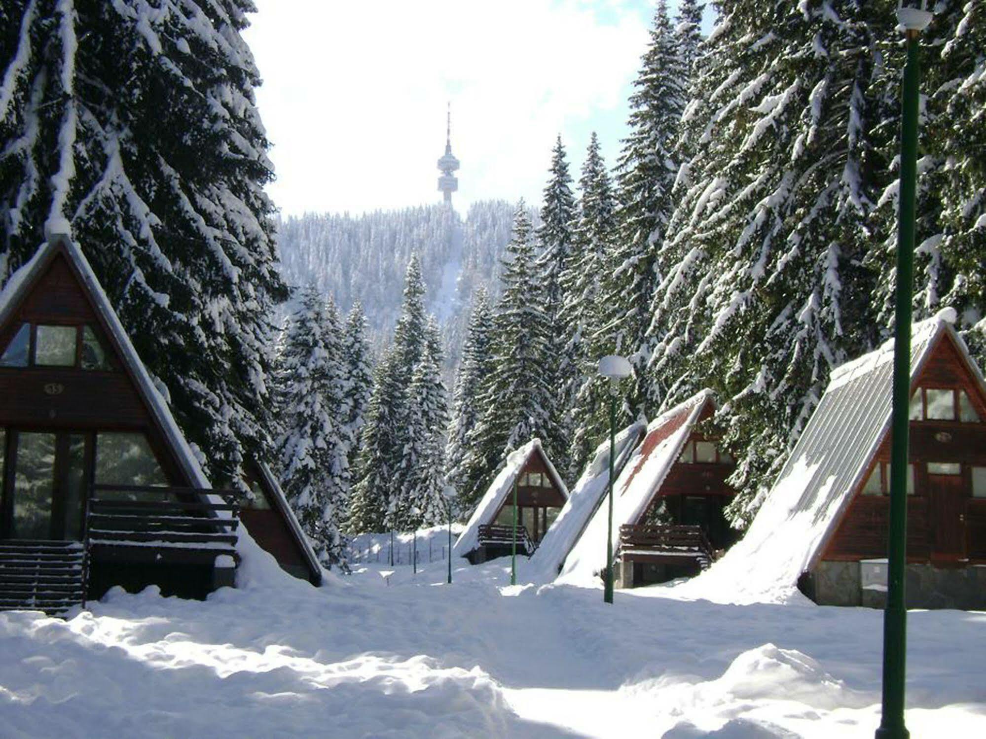 Villa Complex Malina Pamporovo Extérieur photo