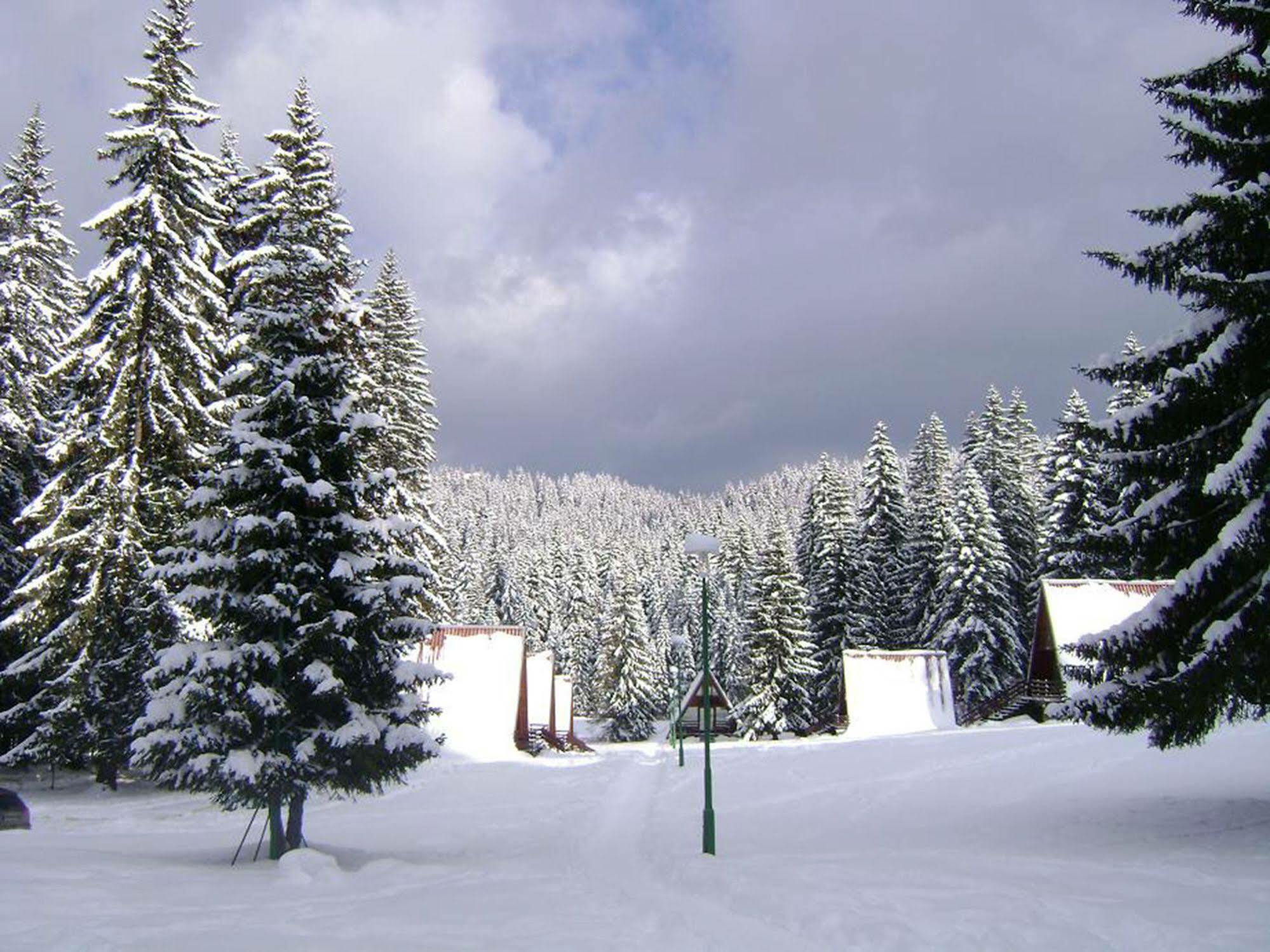 Villa Complex Malina Pamporovo Extérieur photo