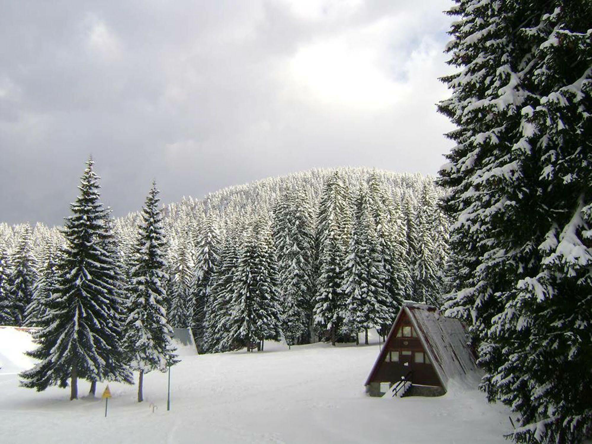 Villa Complex Malina Pamporovo Extérieur photo